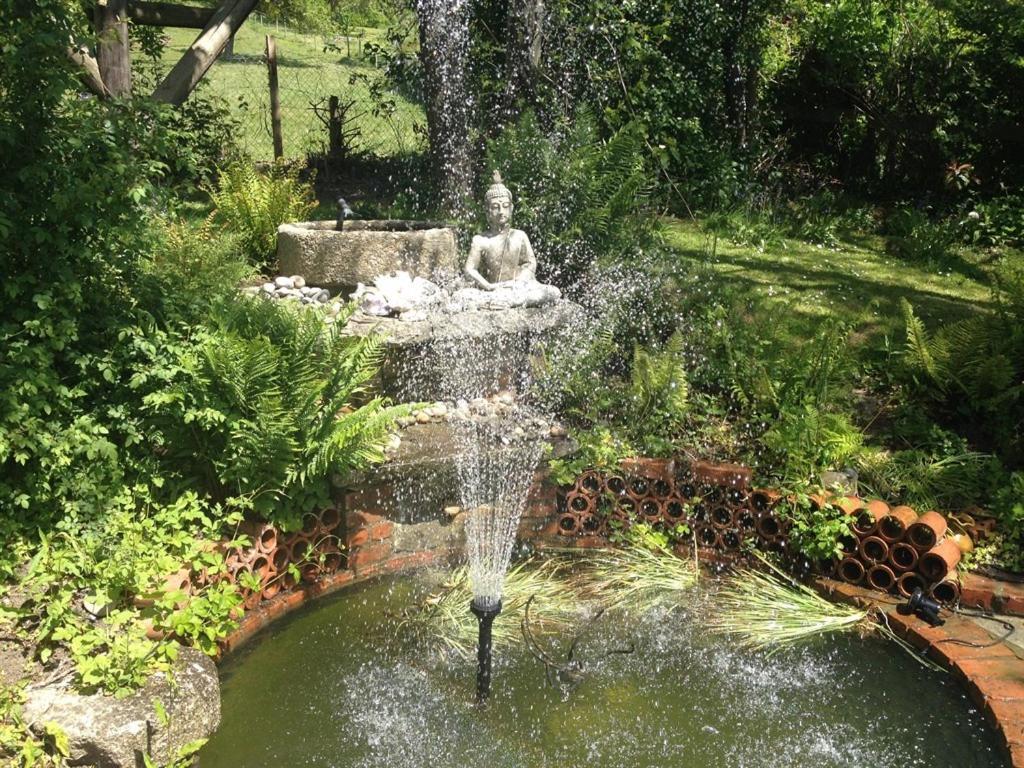 Bed and Breakfast St Anne'S Glastonbury Esterno foto